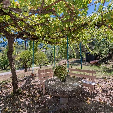 Áno Yerakaríon Amalia Country House מראה חיצוני תמונה