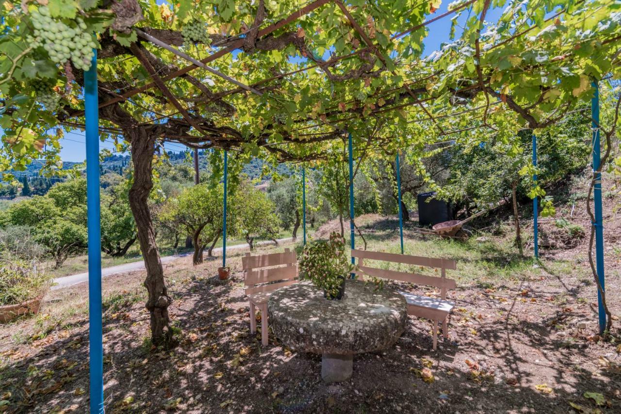 Áno Yerakaríon Amalia Country House מראה חיצוני תמונה
